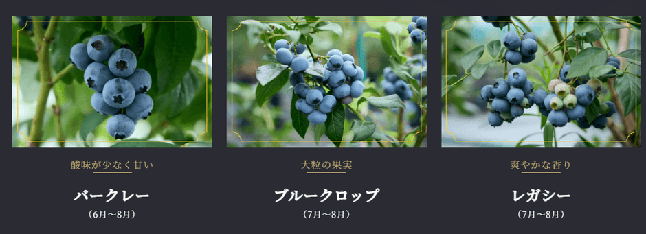 バークレー/ブルークロップ/レガシー