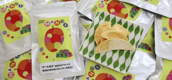 フリーズドライマンゴー 100％近大です。