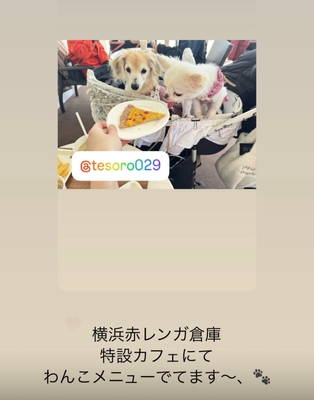 SNS(3)