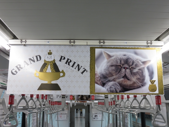 02スマフォトレイン展示内観