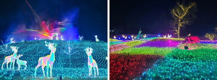 ノースマウンテン(左)と煌めく虫たちのエントランス