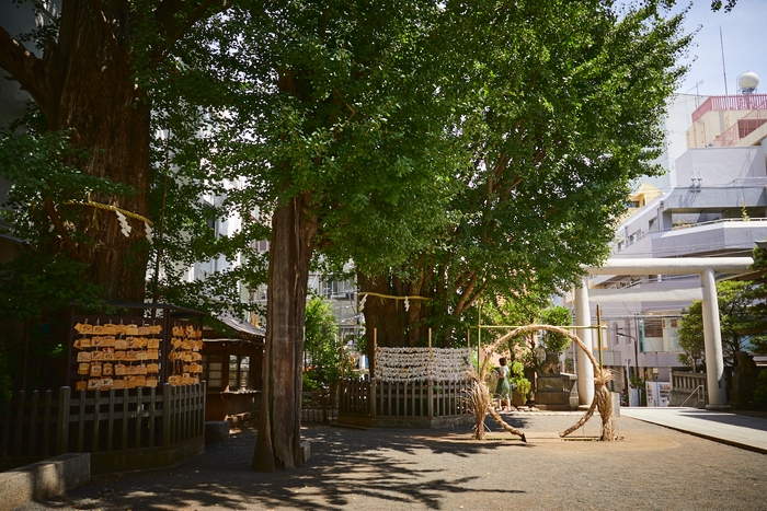 【OMO5 東京大塚】そばこん 夫婦銀杏