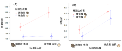 図2. 捕食者巻貝と被食者笠貝の粘液への捕食者巻貝と被食者笠貝の反応　（A）は総移動距離、（B）は回転数の結果を示す。