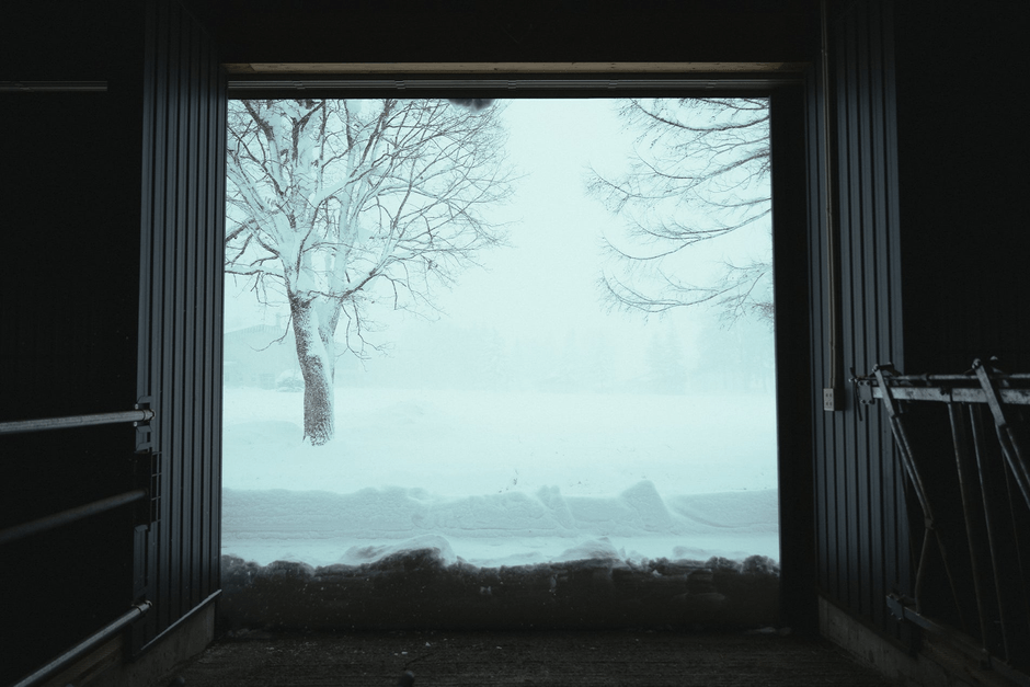 冬は厳しく、日本有数の豪雪地帯である。