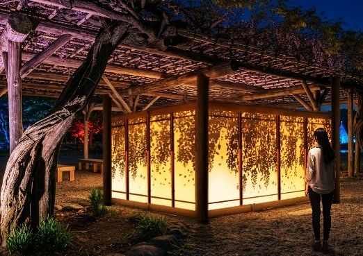 藤棚の情景(イメージ)