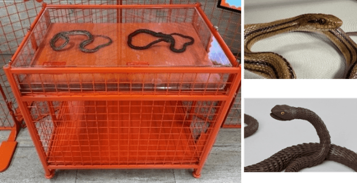 【展示台2】レプリカ展示台