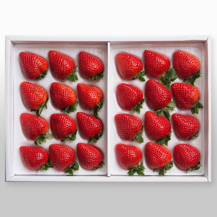 福岡産 あまおう 24~30粒