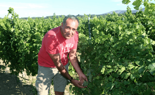 ジャン=フランソワ・オロスケット氏(シャトー・ラ・グラーヴ)