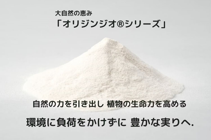 クラファン メインページ5