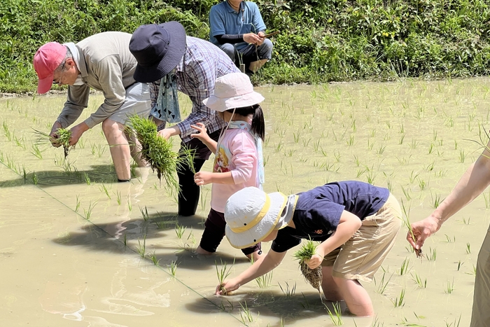 大山千枚田保存会