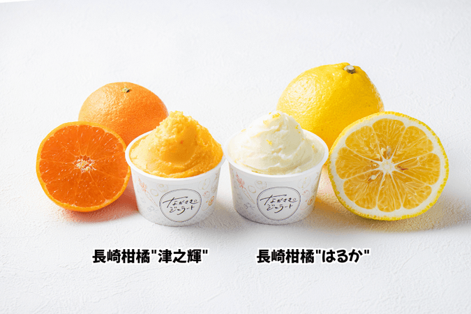 ながさきジェラート 長崎柑橘食べ比べ６個セット