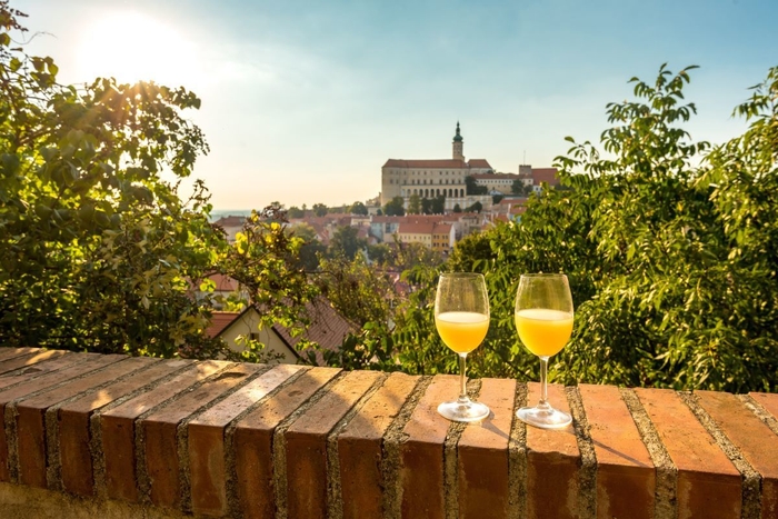 ミクロフ(写真：Kojin / shutterstock.com)