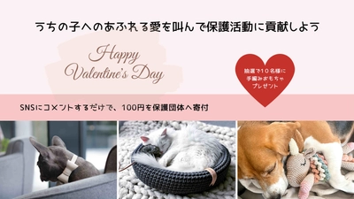 北欧デザインのペット用品店 mof -mof （モフモフ）が「愛を叫んで保護犬を救おう」キャンペーン実施