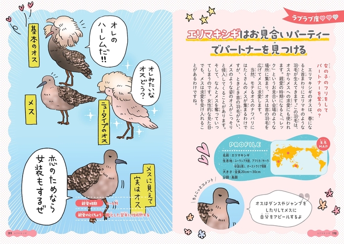 エリマキシギはお見合いパーティーでパートナーを見つける