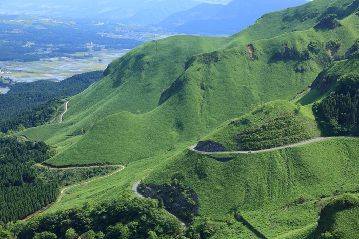 大観峰に続く道