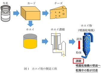 ≪研究発表≫　ホエイ粉のさらなる品質向上と有効利用を目指して 「CFDシミュレーションによる噴霧乾燥機内のホエイ粉の付着堆積の評価」 について