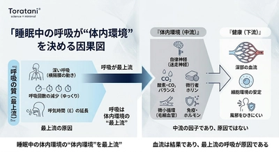 睡眠中の呼吸が"体内環境"を決める──深部酸素化と健康の上流を整理した新レポート