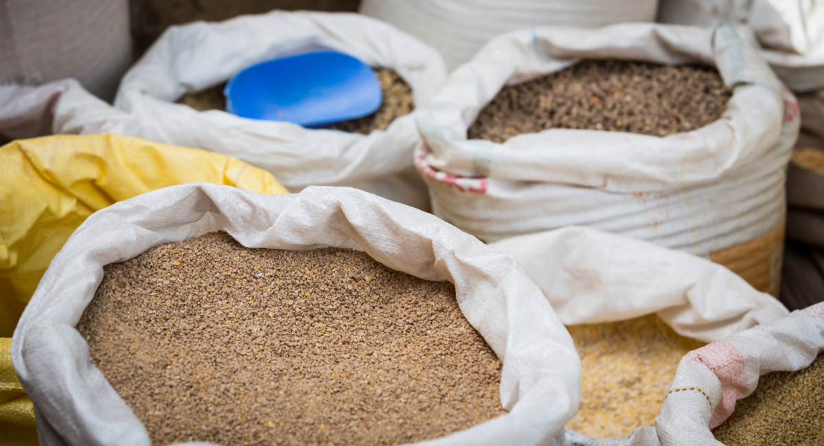 動物飼料の市場規模は2026年までに3,377億ドルに達し、CAGR 4.7%で成長すると予測される