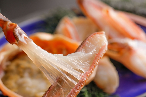 佳松苑 別邸ふうか［一例］