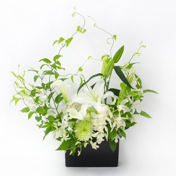 『和』なごみシリーズ LL ¥22,000(税込)