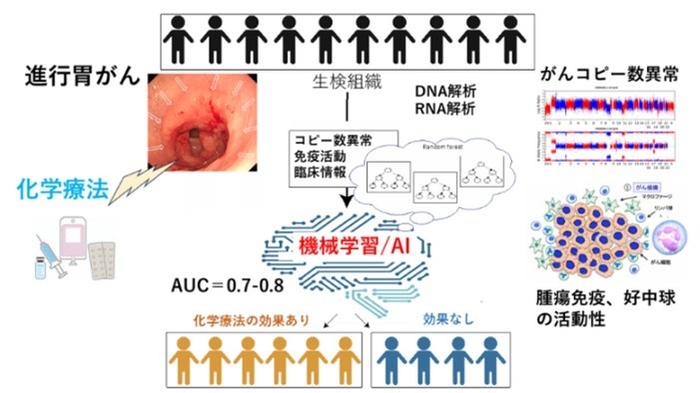 免疫ゲノム情報とAIによる胃がん化学療法の効果予測