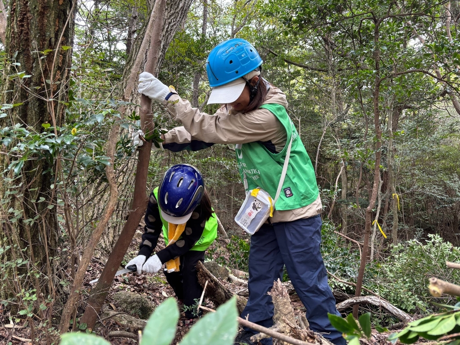 大きなのこぎりを手に本格的な森づくりに挑戦