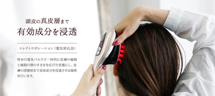 Dr Scalp IIのエレクトロポレーション