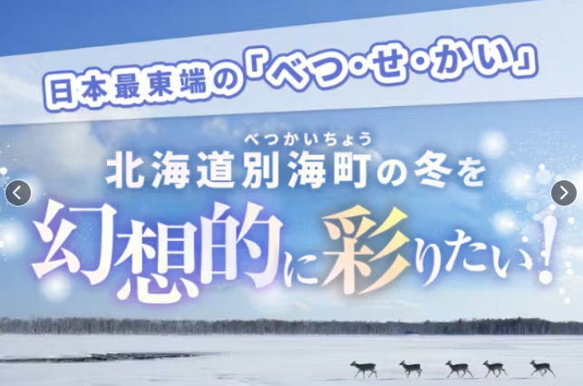 【北海道別海町】凍てつく夜を幻想的な聖地へ。
冬の未来を照らす『光の街』プロジェクト、クラウドファンディングで支援募集スタート！