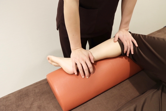 美脚オプション