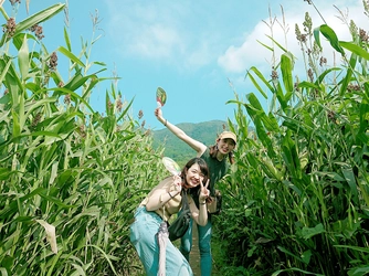 夏休み期間限定！ 「とうもろこし畑の巨大迷路」が7月17日に(土)オープン 　～2021年は秋にも第2迷路を開催予定～
