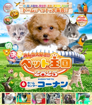 メインビジュアル