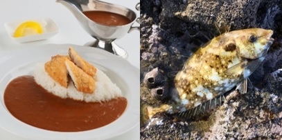 伊勢志摩地魚カレー