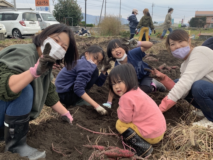 家族でお芋ほりのお手伝いを毎年募集!