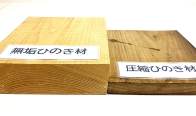 ヒノキ材を圧縮加工