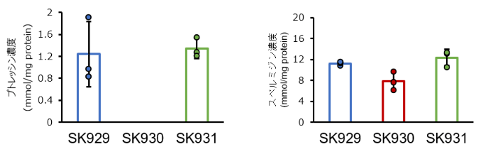 図3　各腸内細菌株を定着させたハエ全身のポリアミン濃度