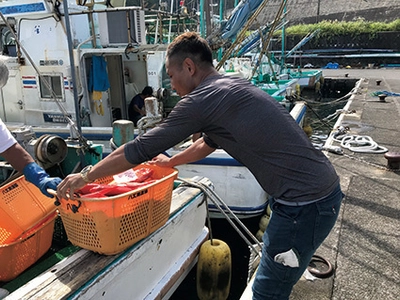 従事者の高齢化や後継者不足など課題解決の一助に 東京の島で「島暮らし体験」ができる 漁業・農業就業体験者を募集開始