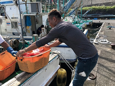 漁業・農業就業体験1