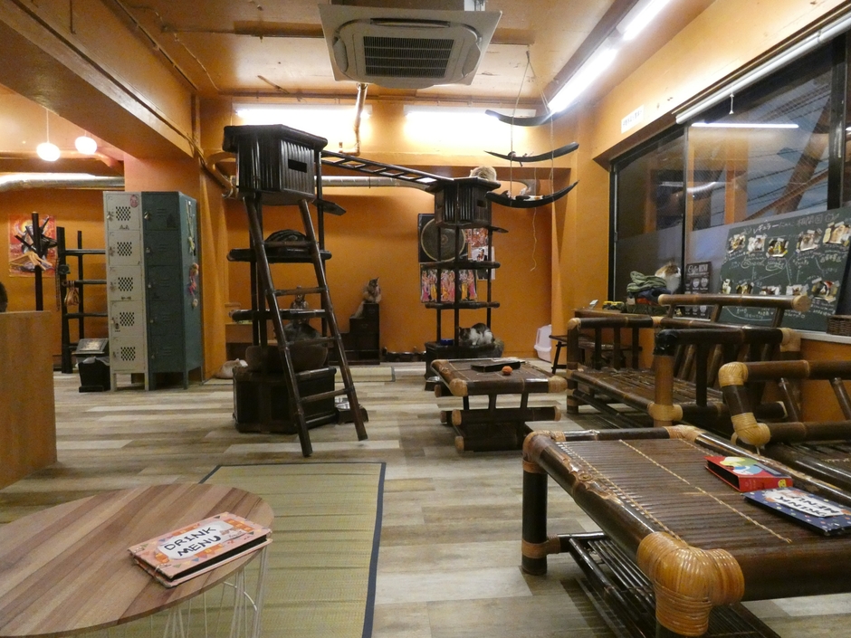 店内