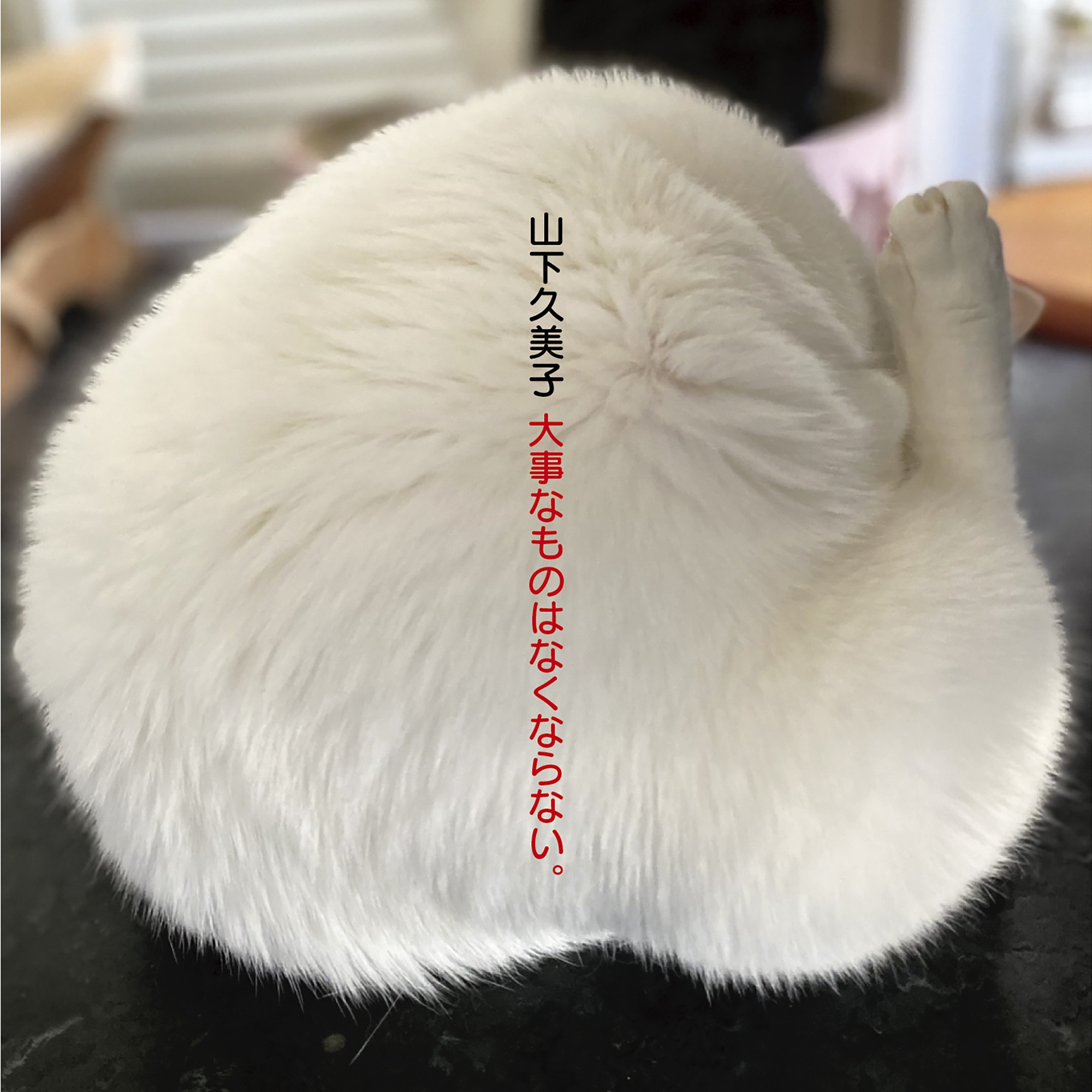 山下久美子４５周年ベスト・アルバム『大事なものはなくならない。』４月１５日発売
ミリオン作家・康珍化と数十年ぶりタッグ、新作『もっとやさしく』を書き下ろし収録！