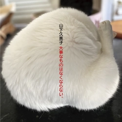 山下久美子４５周年ベスト・アルバム『大事なものはなくならない。』４月１５日発売
ミリオン作家・康珍化と数十年ぶりタッグ、新作『もっとやさしく』を書き下ろし収録！