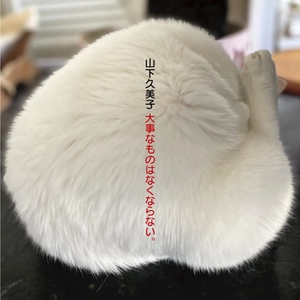 山下久美子４５周年ベスト・アルバム『大事なものはなくならない。』４月１５日発売
ミリオン作家・康珍化と数十年ぶりタッグ、新作『もっとやさしく』を書き下ろし収録！