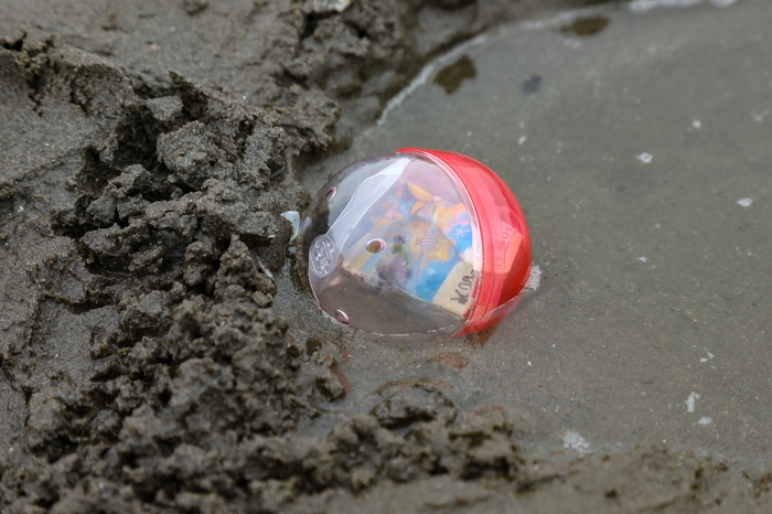 お宝カプセルが砂浜に!
