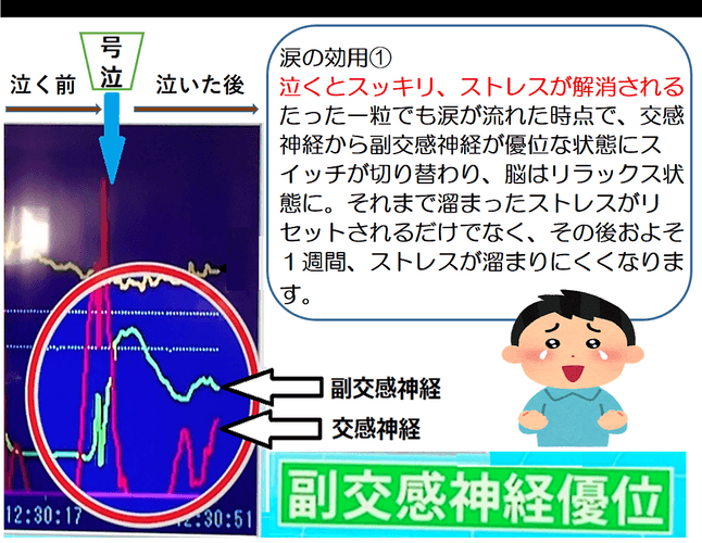 涙は一粒流しただけで一週間ストレス軽減状態が続きます。