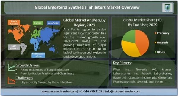 市場レポートは、以下のすべてのポイントを詳細に説明し、分析に基づいて市場動向を提供します。