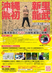 沖縄県初「養液栽培でトマトの周年栽培」に挑戦！ クラウドファンディング開始　 農家出身で農業嫌いだった男が地元農業の発展を願い起業