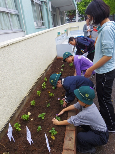 江戸川区立新田小学校贈呈式画像②