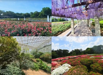 神代植物公園「バーチャル360」で園内を散策しよう！