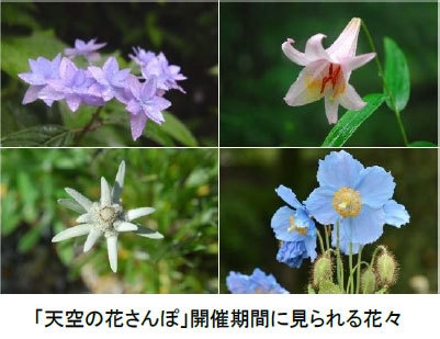 「天空の花さんぽ」開催期間に見られる花々