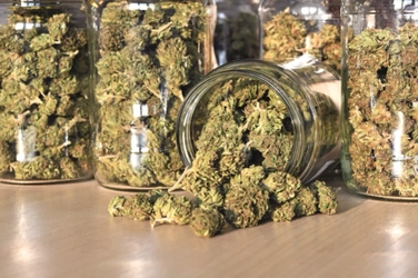 日本の医療用大麻市場規模、シェア、業界動向、レポート2025-2033