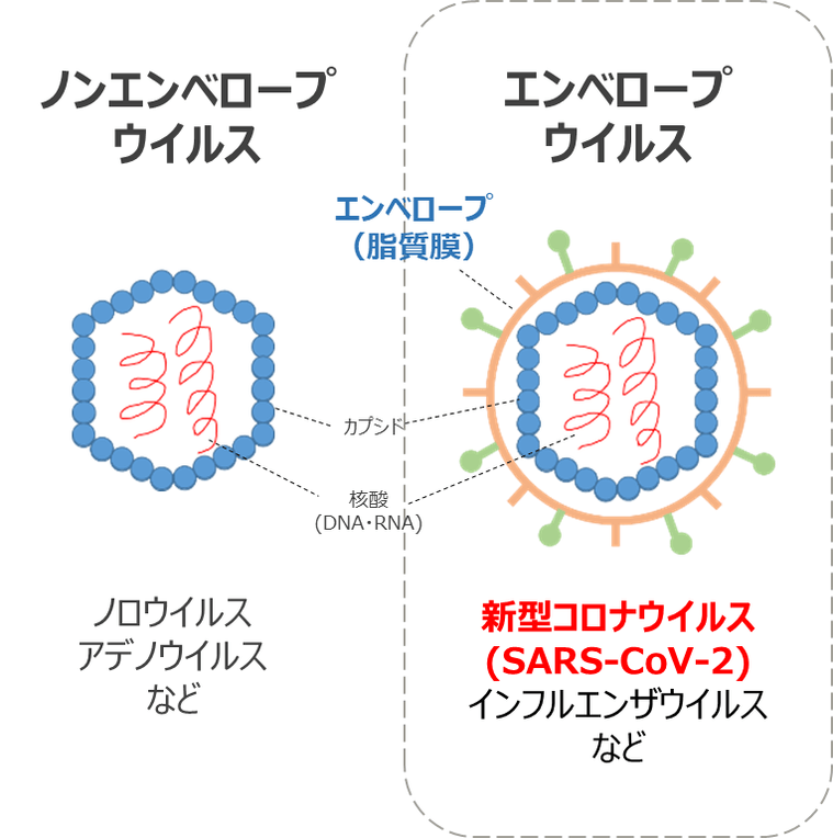 エンベロープウイルス